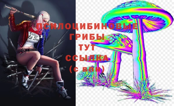 Альфа ПВП Ельня