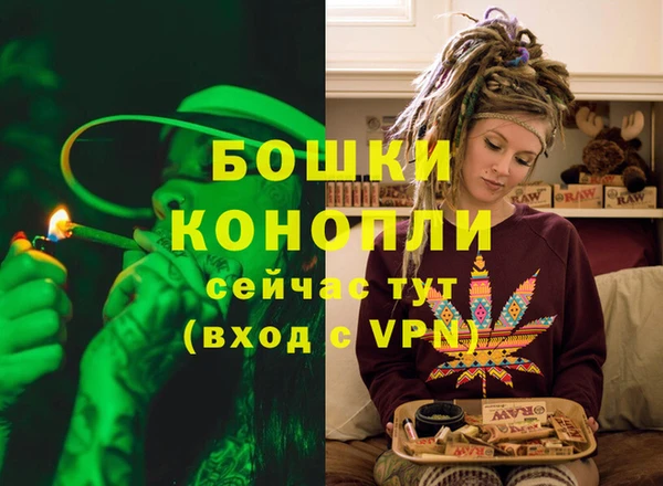 трава Елабуга