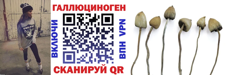 купить наркотик  Заполярный  Галлюциногенные грибы Psilocybe 